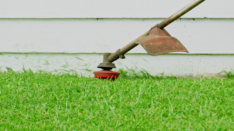 Best Lawn Seeding  in USA